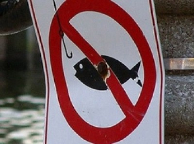 Вновь о правилах для рыбаков-любителей