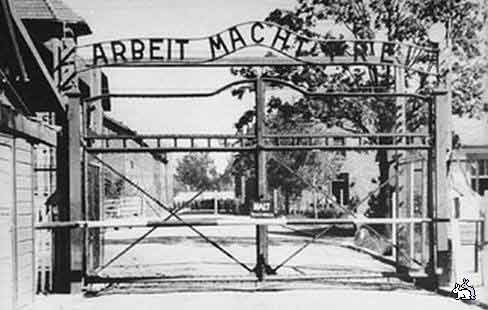 27 января – особая дата для старшего поколения. В этот день 69 лет назад советская армия освободила узников крупнейшего концентрационного лагеря Освенцима-Биркенау. 
