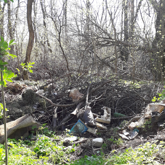 Заполненная мусорная яма в лесополосе на  Толстого.