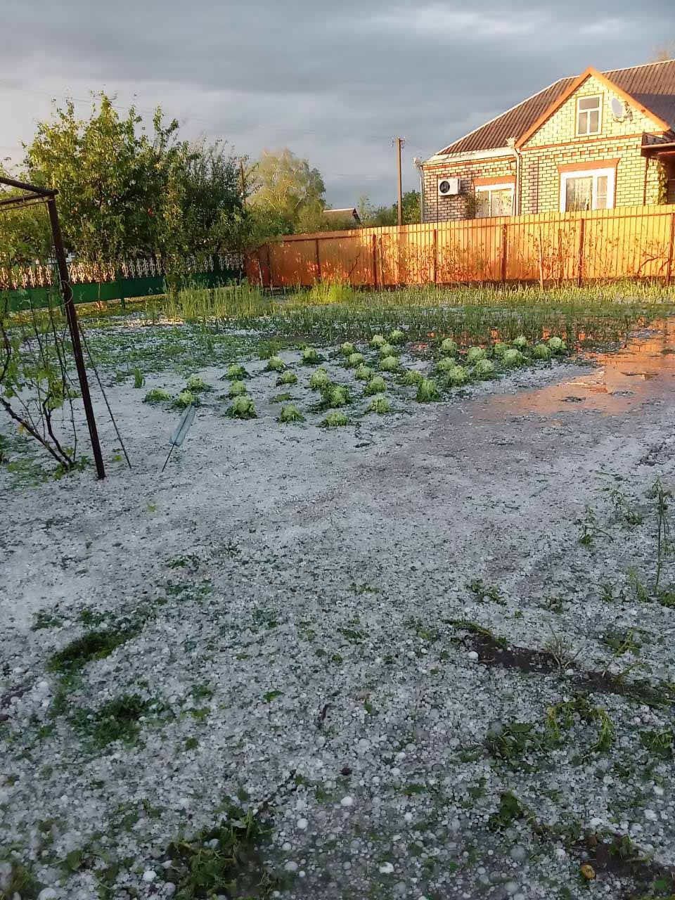 В Павловском районе приступили к ликвидации последствий стихии в  Новопластуновской | Новости Павловской и Павловского района.